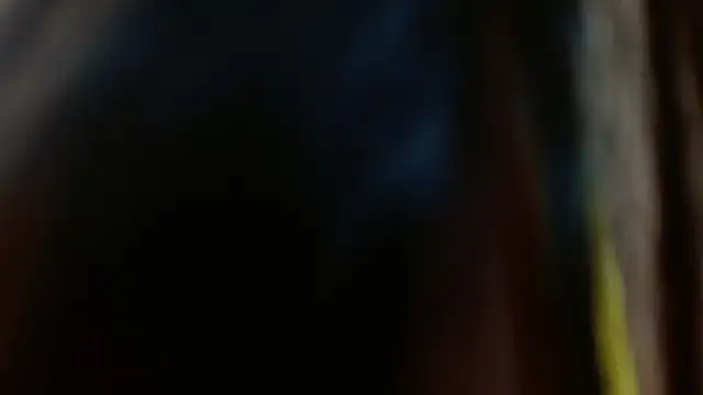 Snapshot of Melikasweetz chatting on December 17, 2024, 8:32 pm Melikasweetz online show from December 17, 2024, 8:32 pm