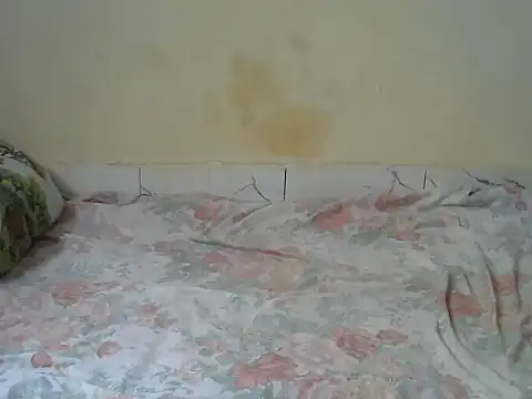 Snapshot of Zenath_ chatting on February 27, 2026, 8:58 am Zenath online show from February 27, 2026, 8:58 am