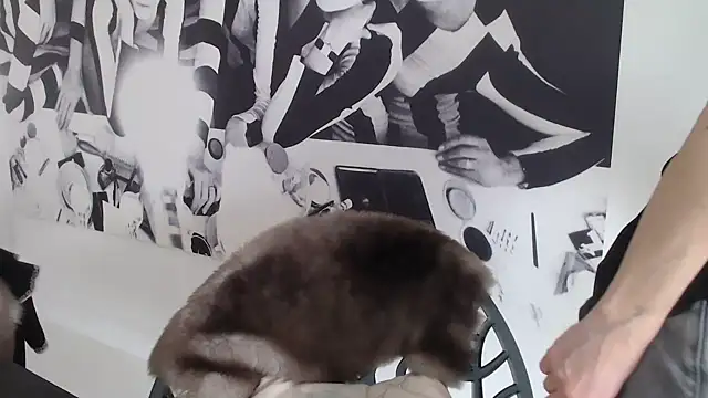 Snapshot of godinflower chatting on February 21, 2026, 2:18 pm godinflower online show from February 21, 2026, 2:18 pm