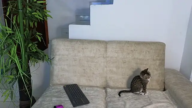 Snapshot of Lorenne_Miller chatting on October 20, 2025, 3:29 am Lorenne Miller online show from October 20, 2025, 3:29 am