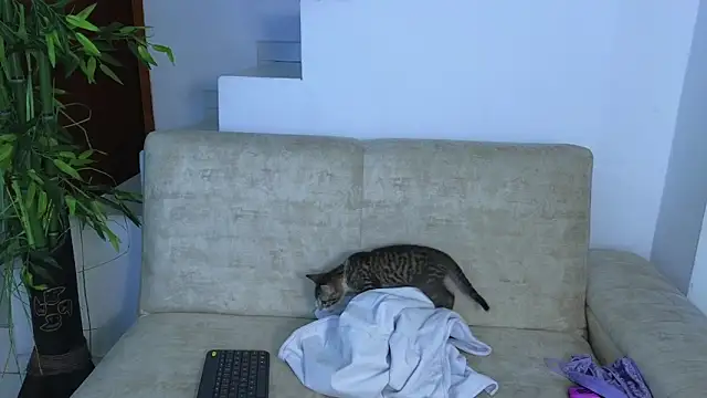 Snapshot of Lorenne_Miller chatting on October 22, 2025, 5:08 am Lorenne Miller online show from October 22, 2025, 5:08 am