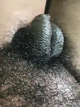 Snapshot of rajrahulovi chatting on February 2, 2026, 4:49 pm rajrahulovi online show from February 2, 2026, 4:49 pm