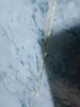 Snapshot of Chancho141414 chatting on October 18, 2025, 2:03 am Chancho141414 online show from October 18, 2025, 2:03 am