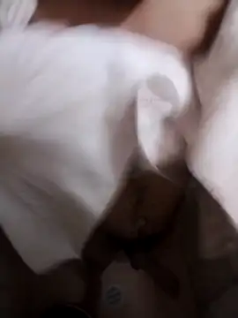 Professor Leo  online show from February 2, 2026, 2:54 am