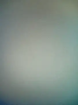 Snapshot of bustybillies chatting on January 17, 2026, 5:16 pm bustybillies online show from January 17, 2026, 5:16 pm