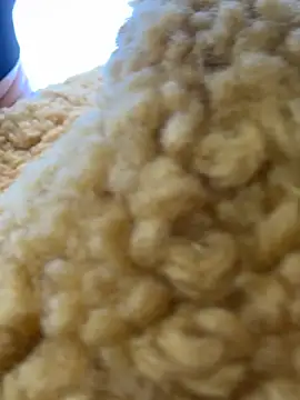 Snapshot of moneymaker_taipei chatting on February 25, 2026, 7:29 am moneymaker taipei online show from February 25, 2026, 7:29 am