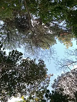 Snapshot of _PhillipBrown chatting on September 10, 2025, 11:32 am PhillipBrown online show from September 10, 2025, 11:32 am