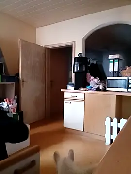 Snapshot of Wishes813 chatting on February 22, 2026, 2:04 pm Wishes813 online show from February 22, 2026, 2:04 pm