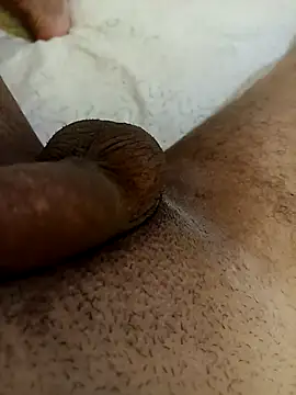 bengala223 online show from October 20, 2025, 11:54 am