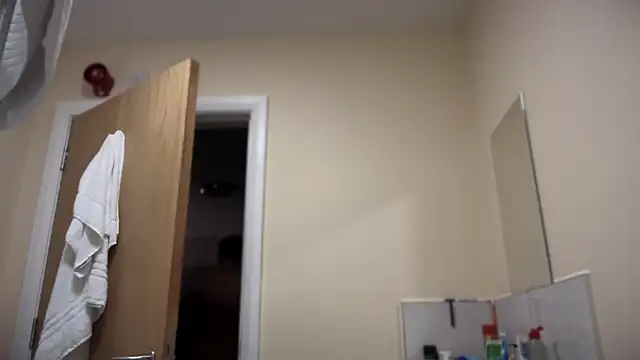 Snapshot of TowaFreespirit chatting on February 17, 2025, 12:10 am TowaFreespirit online show from February 17, 2025, 12:10 am