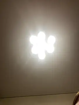 Janet Welder online show from December 16, 2024, 7:37 am