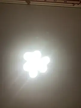 Janet Welder online show from December 20, 2024, 11:37 pm