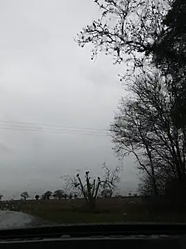 Snapshot of nataliecdlive chatting on November 22, 2025, 11:09 am nataliecdlive online show from November 22, 2025, 11:09 am