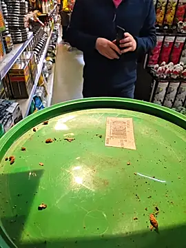 Snapshot of nataliecdlive chatting on March 3, 2026, 12:11 pm nataliecdlive online show from March 3, 2026, 12:11 pm