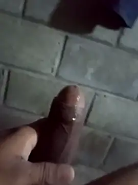 Snapshot of ga213333 chatting on January 18, 2026, 1:20 am ga213333 online show from January 18, 2026, 1:20 am