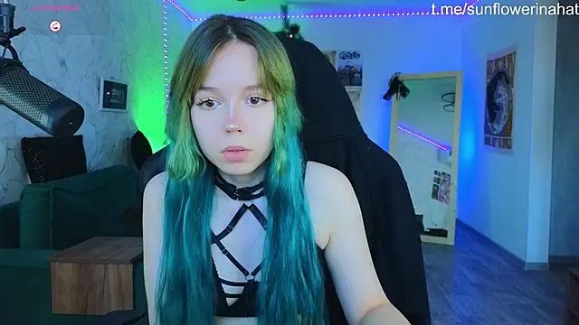 812sunflowerinahat online show from December 19, 2024, 9:29 am