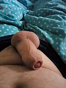 Snapshot of anderssonskuk chatting on December 30, 2024, 9:27 am anderssonskuk online show from December 30, 2024, 9:27 am