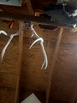 dcockell online show from October 23, 2025, 4:01 am