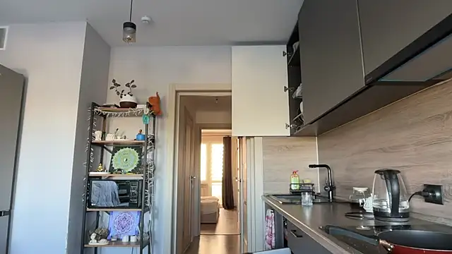 jainesummer online show from September 25, 2025, 7:12 am