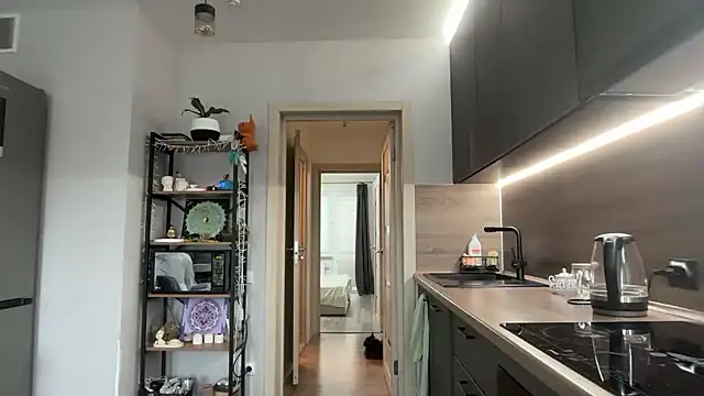 jainesummer online show from November 12, 2025, 9:32 am