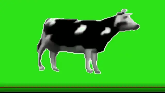 awesome anna online show from February 13, 2026, 10:55 am