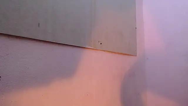 mr stiven  online show from March 22, 2025, 2:16 am