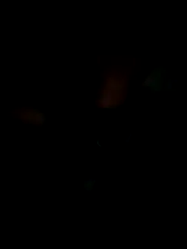 KisSsu online show from January 9, 2026, 4:32 pm