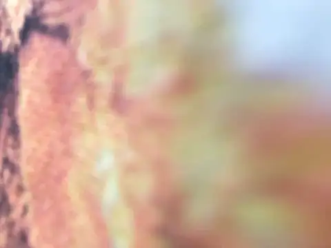 Snapshot of riri_riri_jp chatting on December 16, 2025, 10:09 am riri riri jp online show from December 16, 2025, 10:09 am