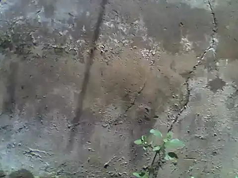 nee2526 online show from March 5, 2026, 10:00 am