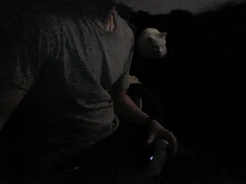 MarioKnero online show from February 26, 2026, 9:52 am