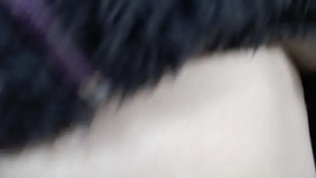 Snapshot of amy_royale chatting on March 18, 2025, 5:31 am amy royale online show from March 18, 2025, 5:31 am