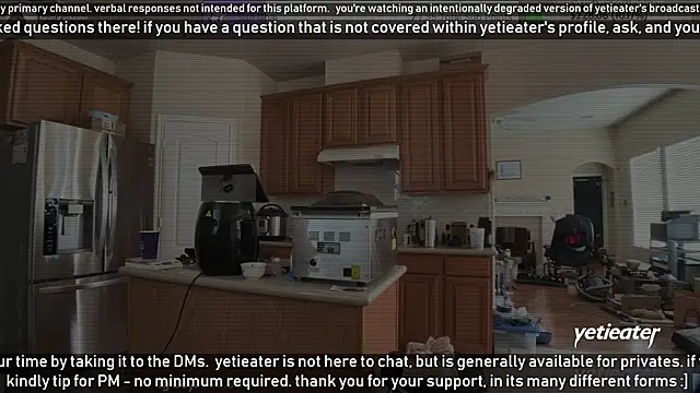 Snapshot of yetieater chatting on December 30, 2024, 8:47 pm yetieater online show from December 30, 2024, 8:47 pm