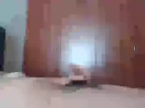 Snapshot of Culazodeantonellarocuzzo chatting on February 25, 2026, 3:21 pm Culazodeantonellarocuzzo online show from February 25, 2026, 3:21 pm