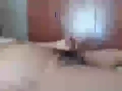 Snapshot of Culazodeantonellarocuzzo chatting on February 26, 2026, 3:44 pm Culazodeantonellarocuzzo online show from February 26, 2026, 3:44 pm