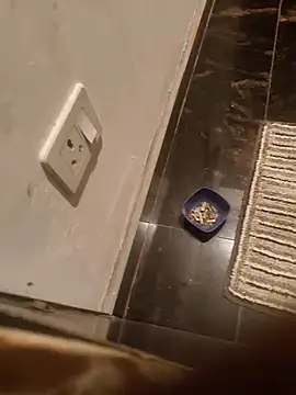 Snapshot of HootedTuner chatting on November 13, 2025, 8:08 pm HootedTuner online show from November 13, 2025, 8:08 pm