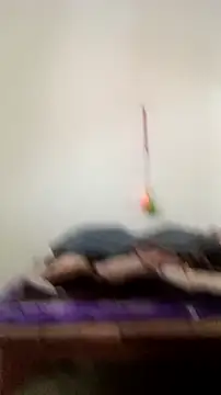 Snapshot of Guriya0076 chatting on February 23, 2026, 11:07 am Guriya0076 online show from February 23, 2026, 11:07 am