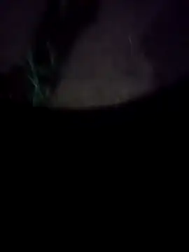 Snapshot of mkallu1995 chatting on February 18, 2026, 5:20 pm mkallu1995 online show from February 18, 2026, 5:20 pm