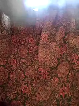 Snapshot of aunty_sumy chatting on February 4, 2026, 4:07 am aunty sumy online show from February 4, 2026, 4:07 am