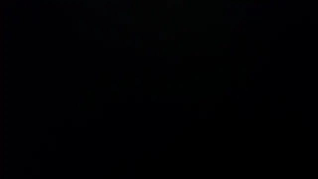 Snapshot of bossking017 chatting on February 19, 2026, 4:03 pm bossking017 online show from February 19, 2026, 4:03 pm