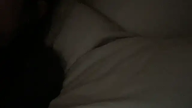 dddasani online show from January 17, 2026, 4:33 pm