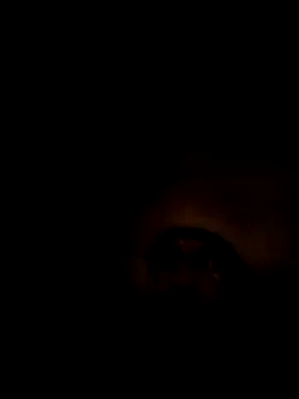 ShawnandDani7074 online show from February 7, 2026, 3:21 am