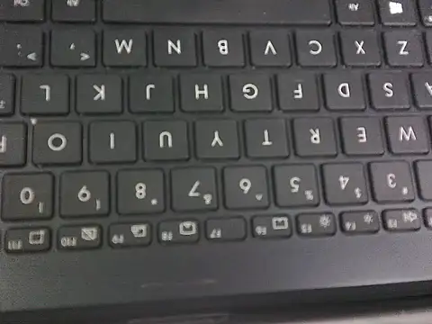 Snapshot of WetWildPussy chatting on September 23, 2025, 12:35 am WetWildPussy online show from September 23, 2025, 12:35 am