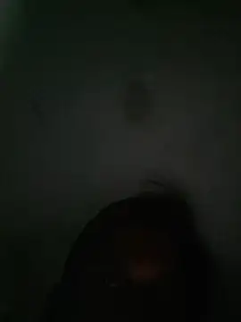 akshant1234 online show from October 8, 2025, 7:22 pm