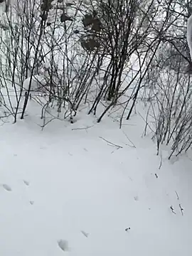 desiredude9 online show from January 6, 2026, 8:18 am