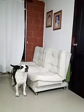 Snapshot of Isbettyche chatting on February 11, 2026, 11:54 pm Isbettyche online show from February 11, 2026, 11:54 pm