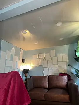 Snapshot of Canneela chatting on February 14, 2026, 12:46 pm Canneela online show from February 14, 2026, 12:46 pm