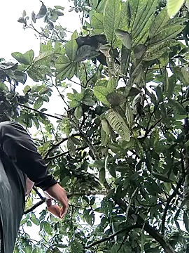 Snapshot of lamejorpene chatting on February 5, 2026, 1:05 pm lamejorpene online show from February 5, 2026, 1:05 pm