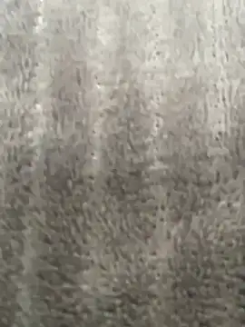 HeerStd online show from November 20, 2025, 4:45 am