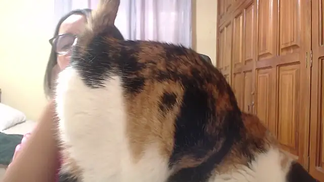 Snapshot of Venus_cat_ chatting on February 8, 2026, 9:18 pm Venus cat online show from February 8, 2026, 9:18 pm