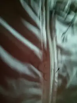 sowbibi online show from February 28, 2026, 5:41 am